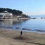 Zsa Zsa Zenta 1 Split