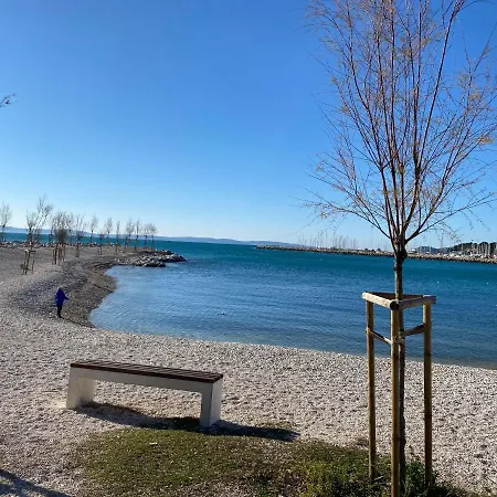 Zsa Zsa Zenta 1 Spalato