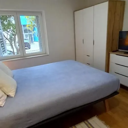 Appartamento Zsa Zsa Zenta 1