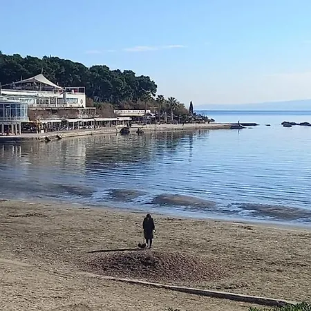 Zsa Zsa Zenta 1 Spalato