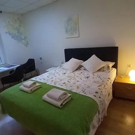 Zsa Zsa Zenta 1 * Spalato