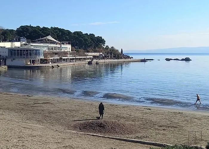 Zsa Zsa Zenta 1 Split