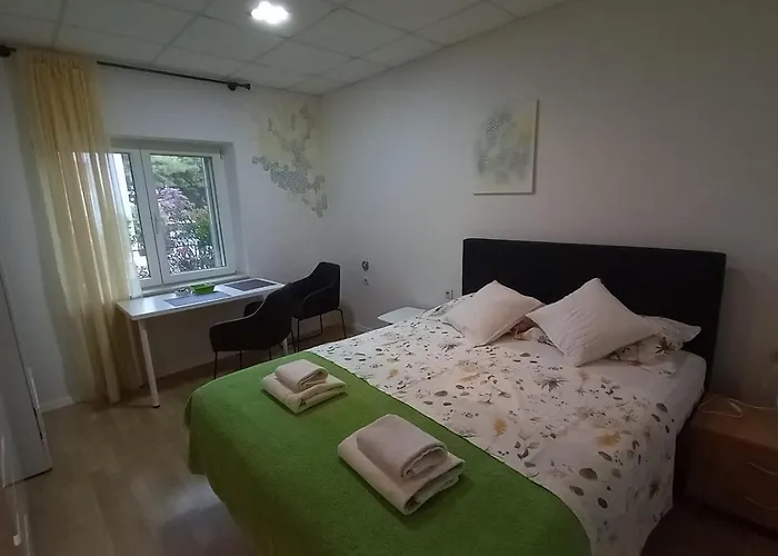 Zsa Zsa Zenta 1 * Split