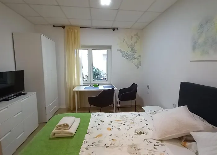 Zsa Zsa Zenta 1 *