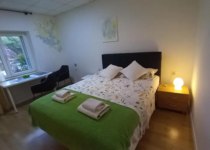 Zsa Zsa Zenta 1 * Split
